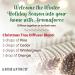 Aromaforce Christmas Tree Bundle - Pine Cedar Wintergreen and Orange Bundle | 100% pure natural undiluted unaltered and chemotyped - Buy Online on GoSupps.com
