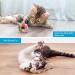 Interactive Cat Toys 3 Pack: Cat Wand, Fuzzy Balls with Bell, and Cat Springs - Rainbow-Red | For Indoor Cats and Kittens - Buy Online on GoSupps.com