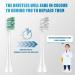 8 Pack Replacement Toothbrush Heads for Philips Sonicare | Compatible with C2 G2 W 4100 5100 HX9023 | Snap-on Design for Plaque Control - Buy Online on GoSupps.com