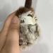 2-Pack Interactive Plush Cat Toys - Chirping Bird & Lifelike Mouse Sounds for Kittens - Fun Indoor Play for Cats - Buy Online on GoSupps.com