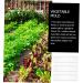 SUPVOX 3pcs Cucumber Cucumbers Fruit Vegetable Forming Shaping Picking Garden Square - Buy Online on GoSupps.com