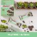 Quest Nutrition Bar Mint Chocolate Chunk 12 Bars - 720g | Delicious Snack with Mint Chocolate Flavor - Buy Online on GoSupps.com