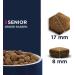 Eukanuba Lamb & Rice Dry Dog Food for Large Senior Breeds - 2.5 kg Pack | Premium Nutrition - Buy Online on GoSupps.com
