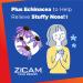 Zicam Cold Remedy Zinc Rapidmelts Lemon-Lime with Echinacea 25 Count - Fast Relief for Colds | Pack of 1 - Buy Online on GoSupps.com