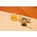 Teekanne World of Ginger and Honey Herbal Infusion Tea with Apple Orange Peels and Honey 20 Teabags - Buy Online on GoSupps.com