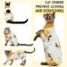 DENTRUN Cat Surgery Recovery Suit | Post Surgery Cone E-Collar Alternative | Anti Licking Pajama Suit for Cats | Spay Kitten Onesie | X-Large Yellow - Buy Online on GoSupps.com