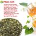 Plant Gift Strawberry Green Tea Oganic Fruit Herbal Tea All Natural Flavors Loose Leaf Apple Strawberry Orange Peel Grapes Peppermint Non GMO Vegan Tea Bags Into Iced Tea & Hot Tea 70G/2.5oz - Buy Online on GoSupps.com