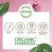 Moisture Matte Lipstick - Rosewood Brown | Long-Lasting Creamy Organic & Vegan | Hydrating Formula | Cruelty-Free | 4gm - Buy Online on GoSupps.com
