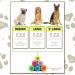 Dog Tennis Balls By Smith s | 6 Pack | 6.35CM / 2.5 Diameter | 25% Stronger | High Visibility Colours | Tested And Certified | Best For Medium (11KG) to Giant Dogs (45KG) Regular (6.35CM / 2.5 Diameter) 6 Pack - Buy Online on GoSupps.com