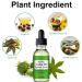 100% Cold Pressed Organic Castor Oil for Eyelashes Eyebrows & Skin Moisturizer - 1 Fl Oz | Best Hair & Body Care for Women - Buy Online on GoSupps.com