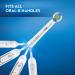 Oral-B Precision Clean Replacement Brush Heads 8-Pack | Compatible with Oral B Electric Toothbrushes - Buy Online on GoSupps.com