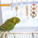 Seahelms 8Pcs Parrot Chewing Toys with Hammock & Bells for Cockatiels, Budgies, & Macaws - Buy Online on GoSupps.com