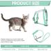 Adjustable Tiesome Cat Dishes with Leash & Collar Set - Color Gradient Kitten Dishes for Outdoor Walks (Green) | International Shipping Available - Buy Online on GoSupps.com