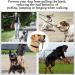 Premium Dog Handlebars for Medium & Large Dogs | Soft Upholstery & Durable Halter - Includes Training Instructions | XL Gray - Buy Online on GoSupps.com