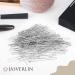 JASVERLIN U Shaped Hair Pin Silver Bun Pins for Women - 100pcs | Curly Hair Bobby Pins for Wedding & Dance - Buy Online on GoSupps.com