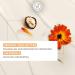 Yves Rocher Repairing Whipped Body Butter - Intense Nourishing Shea Butter Cream for Dry Skin (8.4 FL OZ) - Shop Internationally - Buy Online on GoSupps.com