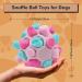 Shop Larimuer Sniffing Ball for Dogs - Interactive Snuffle Toy for Small & Medium Dogs | Portable Summer Pink Sniffing Car Toy - Buy Online on GoSupps.com