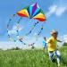 HONBO Large Delta Kite for Kids & Adults - Easy-to-Fly Beach Kite with Colorful Tail - Includes String Line - Ideal for Beginners - Buy Online on GoSupps.com