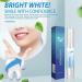 CHAUSA 3-Piece Oral Care Set - Gums Therapy Gel & Tooth Whitening Gel for Stain Removal & Natural Lightening - Buy Online on GoSupps.com