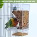Automatic Bird Feeder No Mess Bird Feeder Acrylic Bird Cage Feeder Hanging Seed Food Container Perch Cage Accessories for Small Medium Budgerigar Canary Cockatiel Finch Parakeet Easy to Install Clean A-Transparent - Buy Online on GoSupps.com