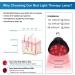 Wolezek Red Light Therapy Lamp 660nm Red & 850nm Near Infrared Combo Bulb for Skin Care & Pain Relief - Buy Online on GoSupps.com