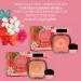 Rachel Couture Compact Blush Trio with Hibiscus Extract for Radiant Glow | Vegan & Cruelty-Free - 0.32 Oz - Blossom - Buy Online on GoSupps.com