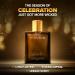 VLN OUD Eau De Parfum For Men 100ml | Premium Luxury Perfume For Men | Long Lasting Fragrance | Best Gift For Men - Buy Online on GoSupps.com