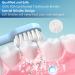 SANTALA UltraSonic Electric Toothbrush | 6 Brush Heads | Waterproof | 5 Modes | 100 Days Battery Life | 48000 VPM Motor | Blue - Buy Online on GoSupps.com