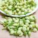 Jasmine Flower Tea 3.52 oz Dried Premium Jasmine Buds Tea-Jasmine Herbal Loose Leaf Tea 100g - Buy Online on GoSupps.com