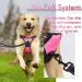 Rabbitgoo Anti-Pull Dog Harness for Medium Dogs - Adjustable Breathable No-Choke Design with Reflective Stripes - Perfect for Training & Safe Guidance - Pink (1 Pack) - Buy Online on GoSupps.com