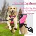 Rabbitgoo Anti-Pull Dog Harness for Medium-Sized Dogs | Adjustable Breathable No-Pull Design | Safe Control for Large Dogs - Pink - Buy Online on GoSupps.com