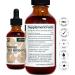 Korean Red Ginseng Liquid Extract - Energy & Focus Support - High Potency Tincture for Immune System & Vitality - 45-Day Supply - Buy Online on GoSupps.com