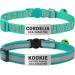 Tagme 2 Pack Katzenhals band with name and telephone number cat necklace with safety clasp and bell 15-20 cm for kitten turquoise kitten 15-20cm turquoise