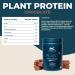 Kinetica Plant Protein 1kg Vegan 23g Protein Per Serving 33 Servings. (Chocolate) - Buy Online on GoSupps.com