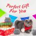 DNFASCHI Gray Cat Plush Toy Cute Cat Stuffed Animals Plush Toy 3Pcs Gray Cat Plushie Soft Mini Cat Plush Toys for Girls Boys Cute Stuffed Cat Doll for Birthday - Buy Online on GoSupps.com