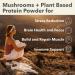 PlantFusion Mushroom Protein Powder - 3 in 1 Vegan Protein Powder Mushroom Supplement and Adaptogen Supplement - Support Mental Focus Immunity and Recovery - Vanilla 1lb Vanilla 16 Ounce (Pack of 1) - Buy Online on GoSupps.com