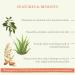 Organic Ginseng & Aloe Vera Night Cream | Moisturising for Normal to Dry Skin | Paraben & Sulfate Free | 1.8 oz - Buy Online on GoSupps.com