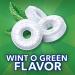 LifeSavers Mints Wint o Green: Sharing Size and Individually Wrapped (14.5 oz / 411.1g) - Buy Online on GoSupps.com