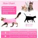Cat Recovery Suit Pink S - Post Surgery Anti-Lick Medical Vest & Bodysuit - Buy Online on GoSupps.com