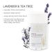 Lavender + Tea Tree Deodorant Women Men Aluminum Free Natural Odor Protection 2 pack Lavender 2.65 Ounce (Pack of 2) - Buy Online on GoSupps.com