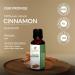 Cinnamon Oil -(Cinnamomum Cassia)- Essential Oil 100% Pure Natural Undiluted Uncut Therapeutic Grade Oil 3.38 FL.OZ 3.38 Fl Oz (Pack of 1) - Buy Online on GoSupps.com