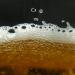 Lallemand Diamond Lager 11g - Buy Online on GoSupps.com