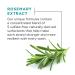L'Oreal Paris EverStrong Thickening Shampoo - Rosemary Scent 8.5 Fl Oz | Optimal Hair Care for Stronger Thicker Hair - Shop Internationally - Buy Online on GoSupps.com