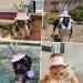 LESYPET Dog Birthday Hat  Pet Birthday Cake Hat with Candle for Dog Cat Party Costume  Pink S Birthday Hat-S - Buy Online on GoSupps.com