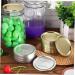 Mipcase 150 Pcs Mason Jar Lids Mason Jar Top Lid Jar Lids and Rings Glass Bottle Screw Caps Reusable Storage Covers Airtight and Leak- Proof Seal Wide Jar Supplies Things CD Tinplate Split Silverx5pcs 7X7X0.2CMx5pcs - Buy Online on GoSupps.com