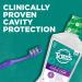 Tom's of Maine Natural Toothpaste & Mouthwash Variety Pack | Fluoride, Peppermint & Fresh Mint - 3-Pack - Buy Online on GoSupps.com