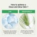 Clean and Glow Green Barley First Essence - Vegan Hydrating Non-Sticky 6.76 Fl Oz | Shop Internationally - Buy Online on GoSupps.com