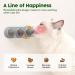Potaroma 4 Pack Catnip & Silvervine Wall Balls - Edible, Safe, Healthy Chew Toys for Cats | Teeth Cleaning Dental Cat Ball Toy | Cat Wall Treats Board Included - Buy Online on GoSupps.com