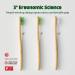 DR.NOAH Maru Bamboo Toothbrush Standard | Ultra Soft Two-Level Bristles | Waterproof & Durable | Ergonomic Design | Zero Waste | 1 Pack - Buy Online on GoSupps.com
