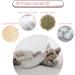 Pinenuts 3 Pcs Cat Catnip Toys Interactive Cat Teeth Toy with Catmint & Crinkle Pillow Plush for Indoor Cats Kittens Scratch Chewing Teeth Grinding Green + Grey + Yellow - Buy Online on GoSupps.com